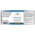 thumbnail image 3 of NativeRemedies InflammaGo 2 Pack, 3 of 5