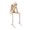 B, variant on sunsanly Skeleton Figurine Realistic Non-See Non-Speak Non-Hear Statues Spooky Skeleton Collectible Ornaments for Halloween Haunted House