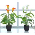 thumbnail image 4 of Coofit Artificial Potted Flower Simulated Calla Lily Potted Plant for Home Decor, 4 of 8