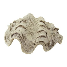 Cast Hippopus Clamshell Home Decor Cast Hippopus Clamshell Home Decor