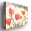 Trademark Art 'Spring Song' Canvas Art by Shelia Golden