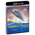 thumbnail image 2 of Imax: Humpback Whales, 2 of 2