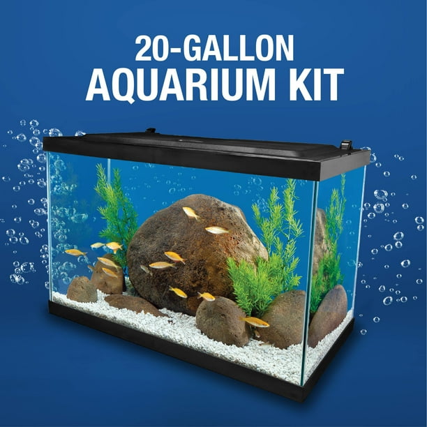 Aquarium Kit Frozen Fish Tank Ornaments Fluval Roma 240L Aquarium
