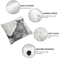 thumbnail image 6 of BANET Modern Throw Pillow Cushion Cover Pack of 2, Cat Portrait in Blurry Shady Tones Animal Kitty Picture, Zippered Double-Side Digital Print Decor, White Black 22x22in, 6 of 7