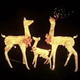 thumbnail image 3 of vidaXL Reindeer Family Gold Mesh, Metal Large Reindeer Family Other, 3 of 6