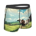 thumbnail image 2 of Rateoe Prairie Pasture Cow Mens Boxer Briefs Poly Spandex Performance Boxer Briefs Underwear Hem Boxer Briefs - XX-Large, 2 of 8