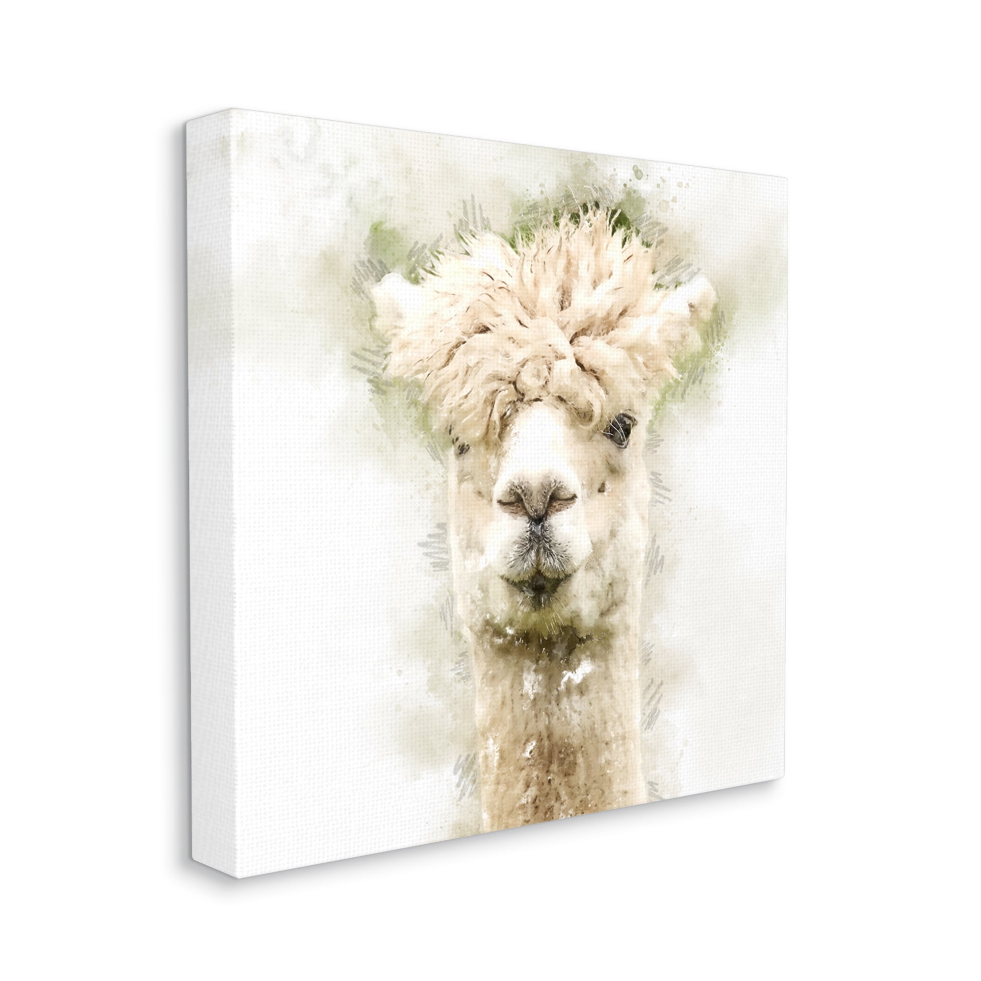 Stupell Alpaca Portrait Abstract Animal Animals & Insects Painting Gallery Wrapped Canvas Print Wall Art