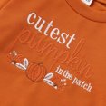 thumbnail image 6 of VNKIDY Toddler Kids Crew Neck Long Sleeve Pumpkin Letter Floral Embroidery Soft Loose Fall Halloween Pullover Sweatshirt Tops For Boys Girls Trendy Pullover 6-12 Months, 6 of 8