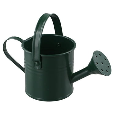 Garden Small Water Spraying Pot Flower Kettle Metal Watering Can Sprinkled