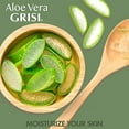 thumbnail image 2 of Grisi Aloe Vera Conditioner, Moisturizing, Paraben Free, All Hair Types, 13.5 fl oz, 2 of 7