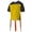 Gold/ Black, variant on Alleson Athletic 762FFJY Youth Hero Flag Football Jersey - Red Red