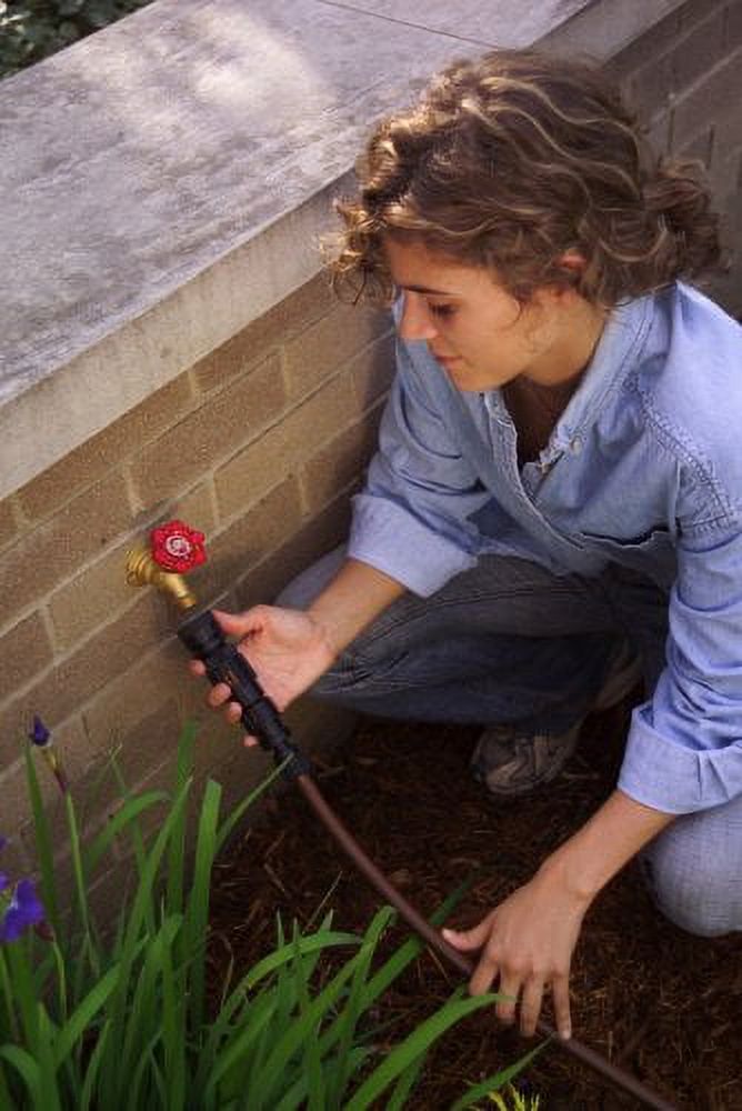 Rain Bird FCKIT-1PK Drip Irrigation Easy Fit Faucet Connection Kit for 1/2" Tubing, Includes Pressure Regulator and Filter