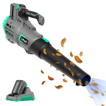 Litheli 40V Cordless Leaf Blower Max 350CFM for Blowing Leaf, with 2.0Ah Battery & Charger