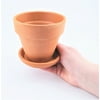 Pennington Terracotta 4-Inch Pot and Saucer Bundle