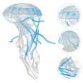 thumbnail image 3 of Modelo educativo de medusas Juguete científico de medusas Juguete científico para niños Juguete de aprendizaje Animal de apoyo, 3 of 8