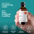 thumbnail image 3 of H'ana Bayleaf Essential Oil - 1.02 fl oz - for Hair, Skin, Diffuser, Aromatherapy, DIY Candle & Soap Making, 3 of 6