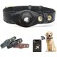 thumbnail image 1 of Collar para perro Airtag, soporte ajustable para collar de perro de piel de vaca natural, compatible con Airtag, compatible con perros pequeños, medianos y grandes, el mejor regalo, 1 of 4