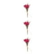 thumbnail image 2 of Arreglos de hojas y Flores secas ecológicos y sostenibles Bearachild Elegante flor en relieve seca HS-19, 2 of 6