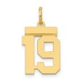thumbnail image 1 of 14k Or Jaune Petit Numéro 19 Collier Pendentif Pendentif Breloques, 1 of 5