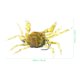 thumbnail image 3 of Señuelos de pesca de cangrejo con anzuelos (verdes), 3 of 7