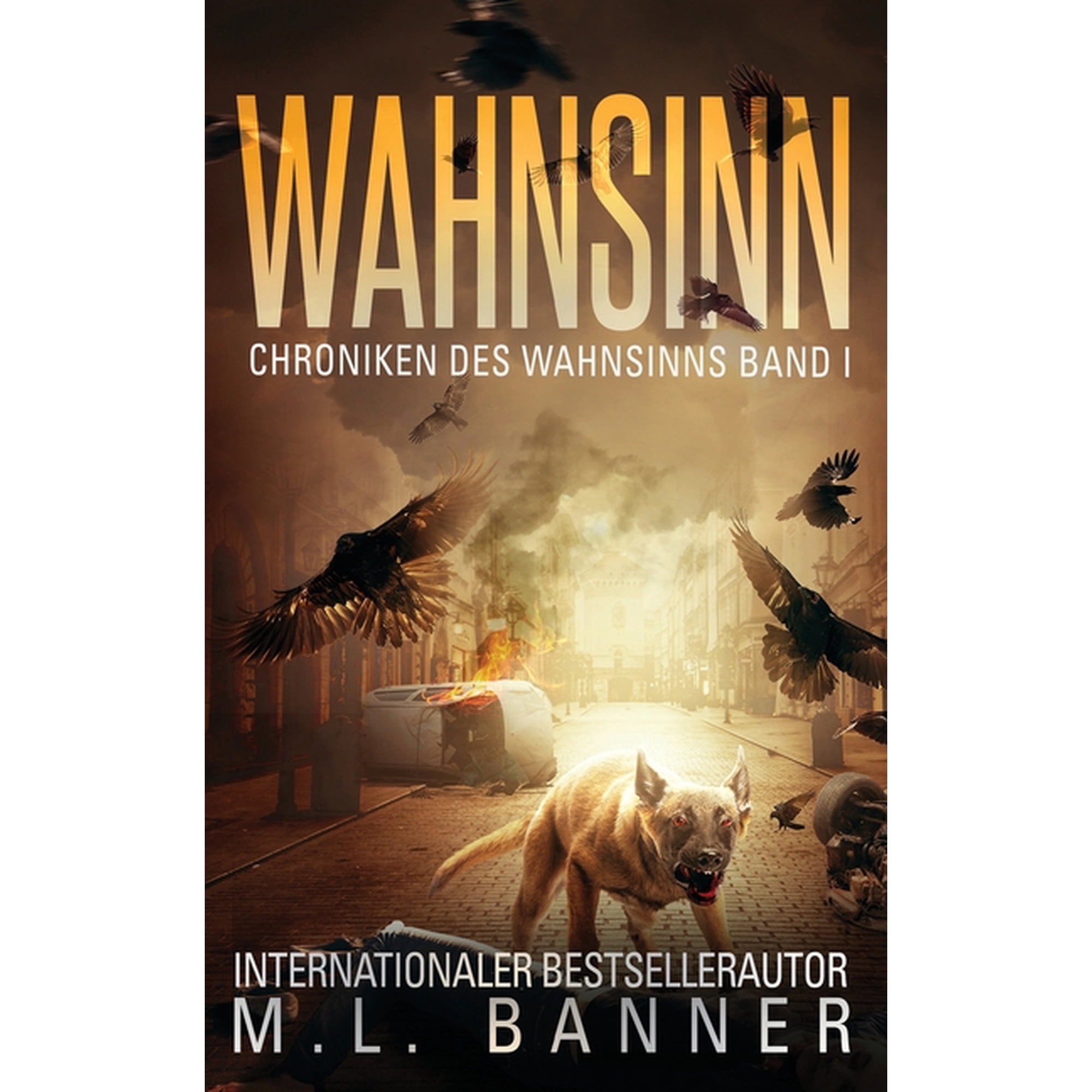 Chronicles of Madness Wahnsinn: Ein Apokalyptischer Horrorthriller Book 1 (Paperback)