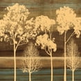 thumbnail image 3 of Donovan, Chris 15x15 Black Modern Framed Museum Art Print Titled - Ambiance I, 3 of 5