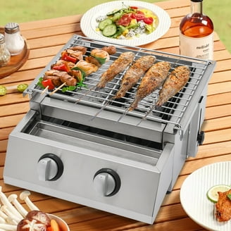 Thermos 265 Portable 2-Burner BBQ Grill with Legs, Liquid Propane