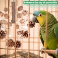 thumbnail image 6 of Wooden Parrot Chew Toy Funny Parrot Cage Bite Plaything Creative Enduring Bird Chewing Toy for Macaw Cockatoo, 6 of 10