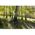 thumbnail image 2 of Sullivan, Kent 24x17 White Modern Wood Framed Museum Art Print Titled - Little Econ River, 2 of 4
