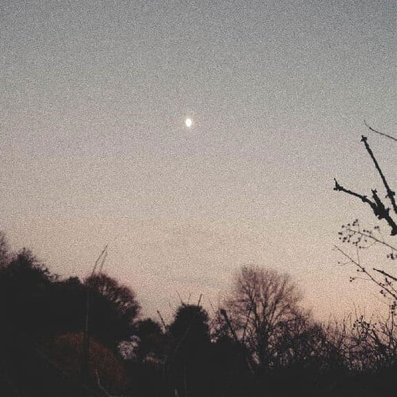 Rachel Sermanni - Dreamer Awake - Music & Performance - Vinyl