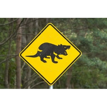 Tasmanian Devil warning sign Tasman Peninsula Australia Canvas Art - David Wall DanitaDelimont (26 x 18)