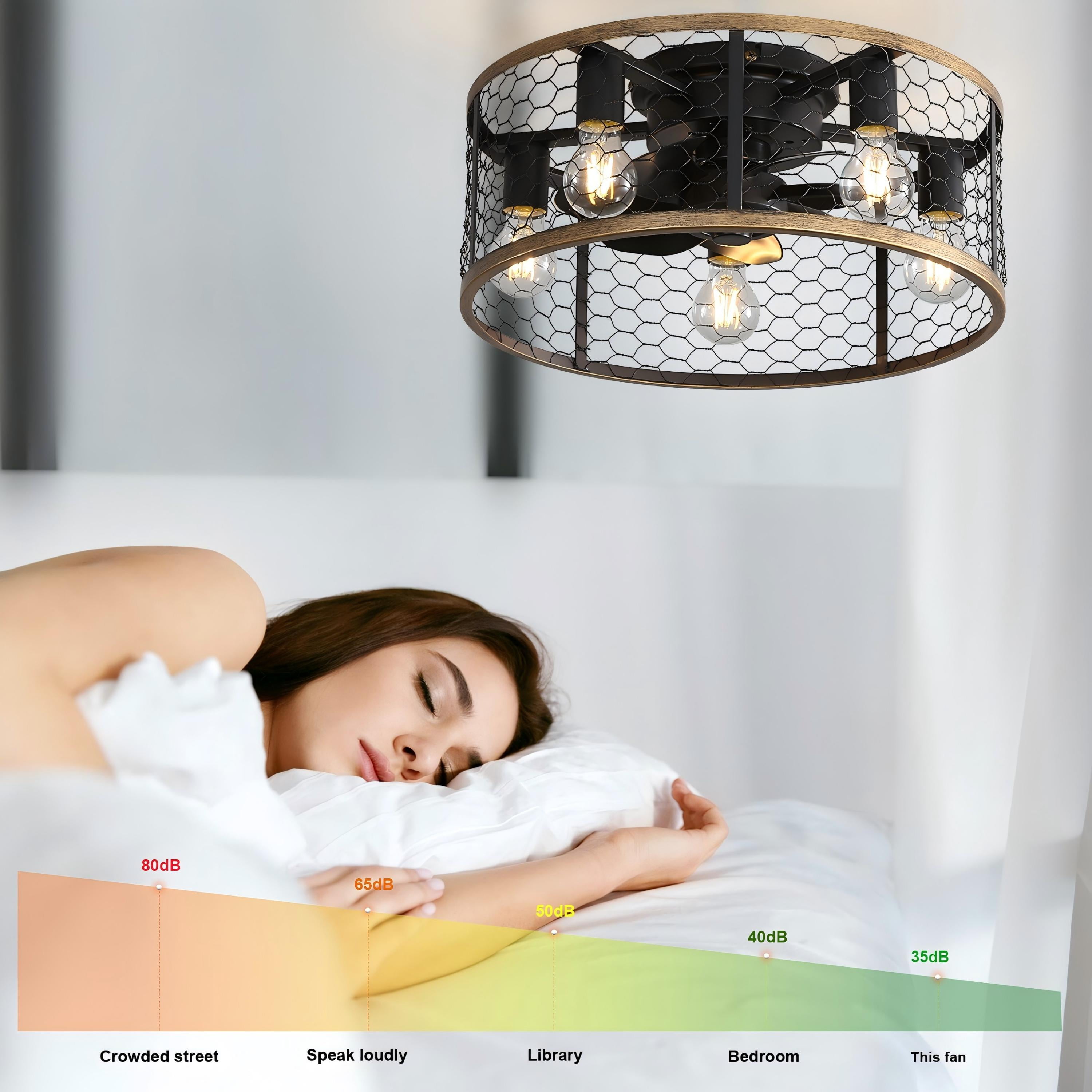 Sofucor 20" Matte Black Caged Ceiling Fan with 5-Piece Lighting Kit and Remote Control