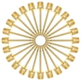 thumbnail image 1 of AURARMLET 50Pcs Golden Inflation Needles for Sports Balls Stainless Steel Prevent Bending and Breaking, 1 of 5