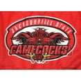thumbnail image 4 of Jacksonville State University Gamecocks Car Flag with Display Pole, 4 of 6