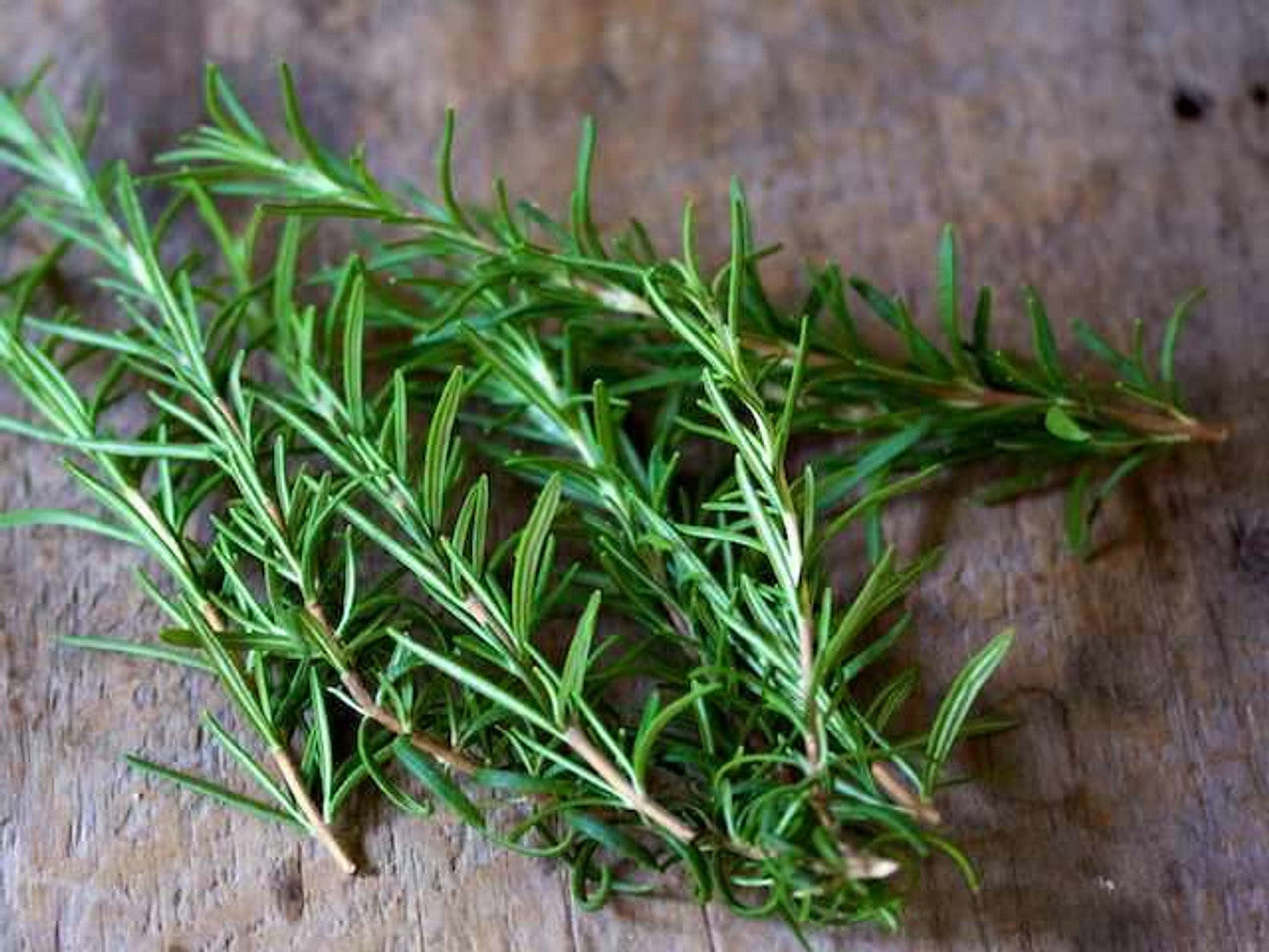 Seed To Stomach - Italian Herb Kit