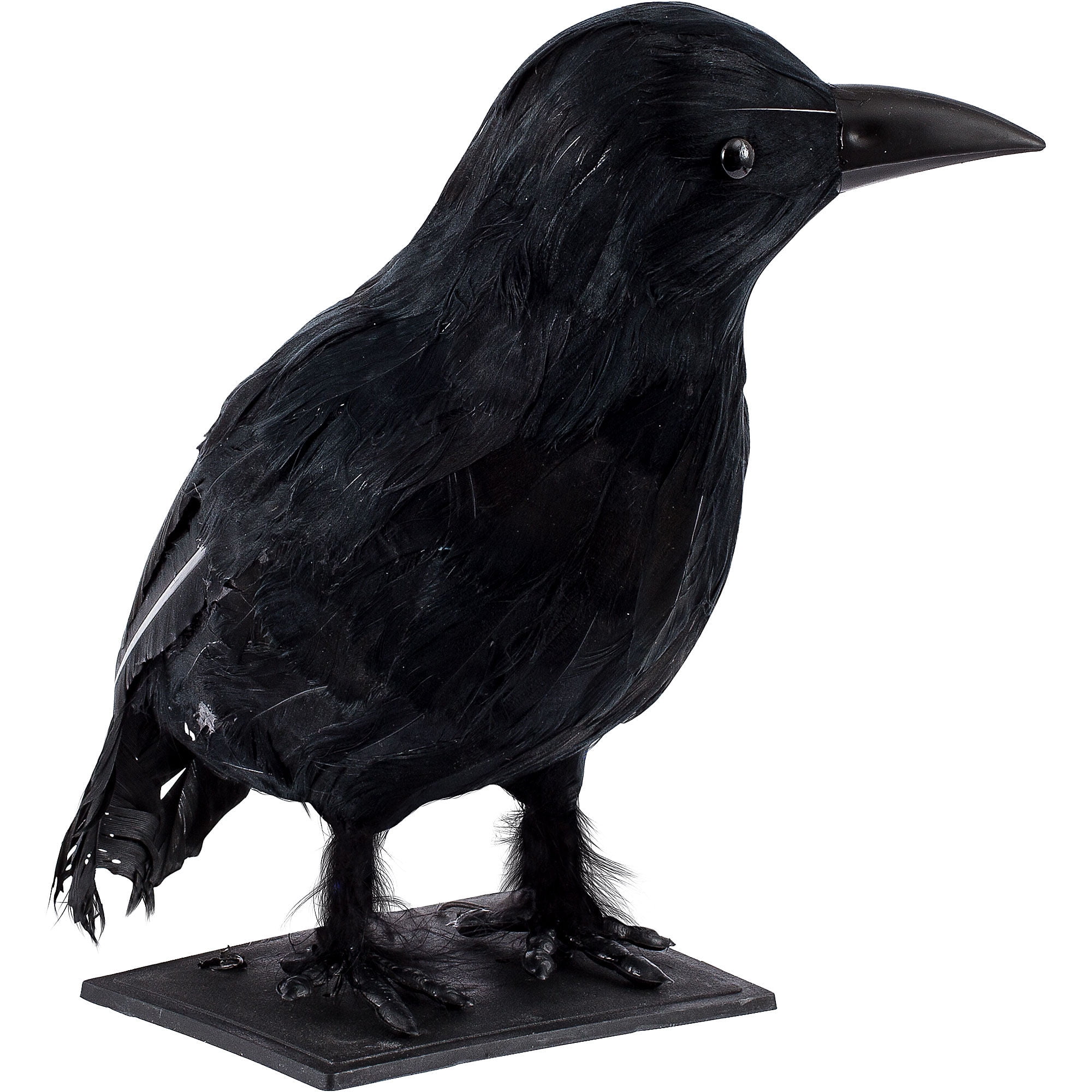 Black Crow, Plastic Prop Measures 12 Inches by 8 Inches by 8 Inches