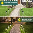 thumbnail image 4 of BLITZWILL Solar Lights Outdoor, 24Pack LED Waterproof Pathway Lights for Garden, Landscape, Path, Yard, Patio, Warm White, 4 of 10
