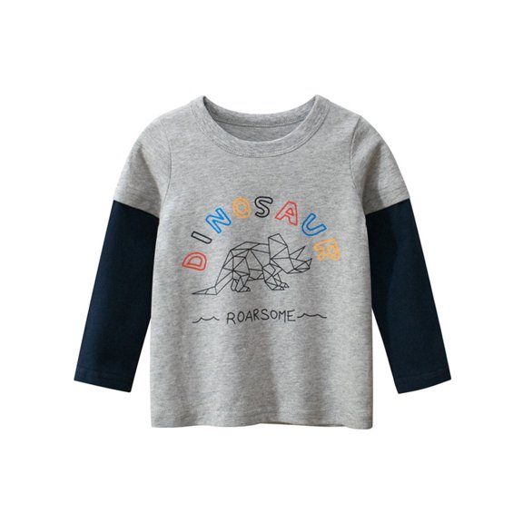 Beautyzll Baby Toddler Kids Boys Long Sleeve Casual T-Shirt 1-9T Cartoon T Shirt Spring Fall Crewneck Tees