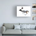 thumbnail image 2 of Trademark Fine Art Mark Adlington Evening Buck Fallow Deer Canvas Wall Art - 14x19, 2 of 5