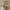Beige, variant on AXXD Women Beige Sandals Clearance New Summer Elasticated Roman Beach Shoes Open-toed Flat Sandals