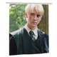 thumbnail image 1 of Cortina de ducha con ganchos de Draco Malfoy, decoración para el baño, fácil de limpiar, lavable a máquina, tela de poliéster duradera, impermeable, 66 x 72 pulgadas, 1 of 8
