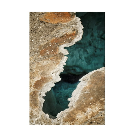 Canvas Wall Art - Dennis Frates 'Blue Star Spring' Wall Art for Living Room, Bedroom, or Office DÃ©cor by Trademark Fine Art - 12 x 19 Inches