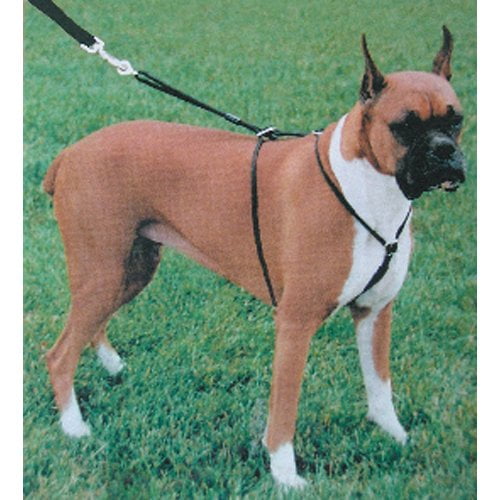 rope dog harness