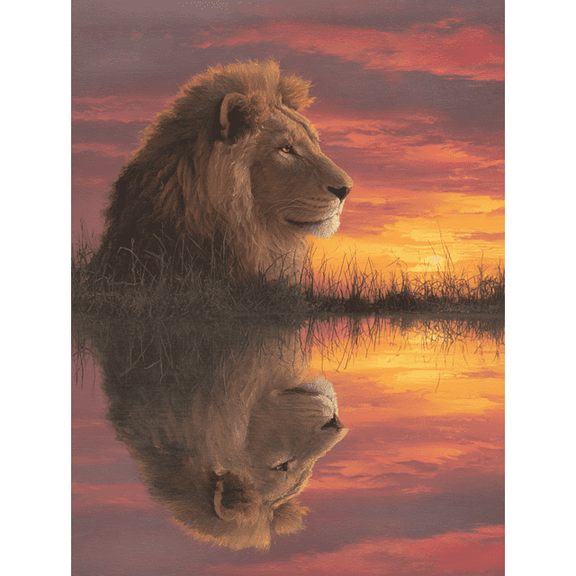 Lion Sunset Reflection Canvas Wall Art 15.75x11.81 Inches