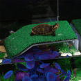 thumbnail image 5 of Lawn Turtle Basking Platform Turtle Resting Basking Platform, Simulation Grass Turtle Ramp for Turtle Tank, Reptile S, 5 of 5