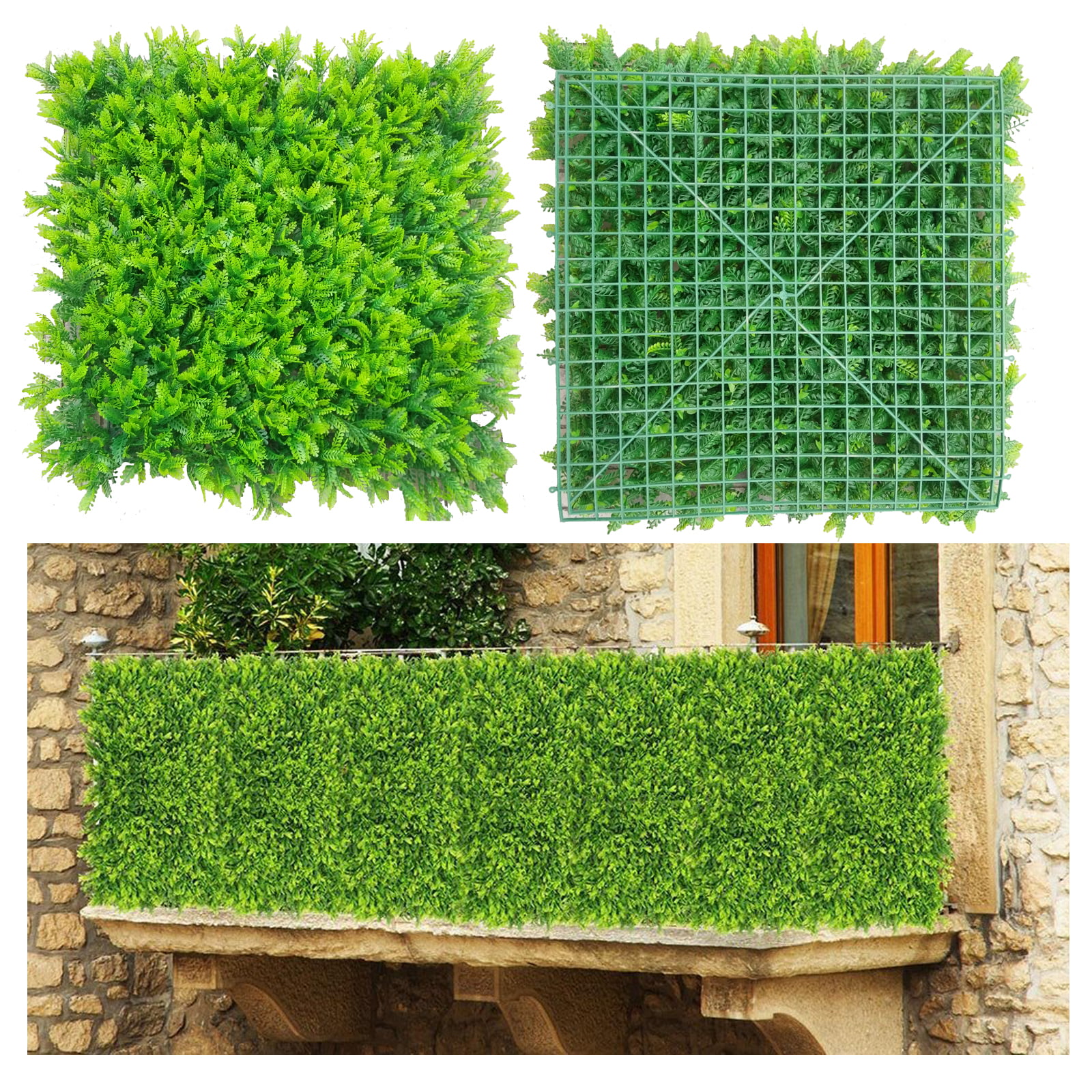 Creatice Good Plants For Privacy Screen for Living room