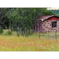 thumbnail image 2 of Peck, Gail 32x25 Gold Ornate Wood Framed with Double Matting Museum Art Print Titled - Country Meadow II, 2 of 4