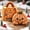 Gingerbread Bao A3, variant on Plush Dumpling Squishy Toys, Christmas Bao Plush Collection, Adorable Soft Plush Toys, Winter Holiday Collectibles