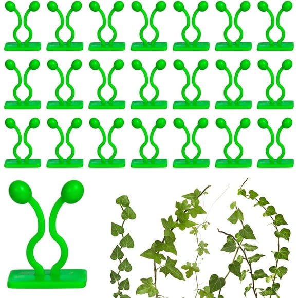 YQHWQ Clips pour Plantes Grimpantes pour Murs et Treillis Lierre Anglais Adapté pour Philodendron à Feuilles de Cœur