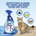Lysol Pet Solutions Disinfecting Cleaner, Citrus Blossom Scent, 32 FL